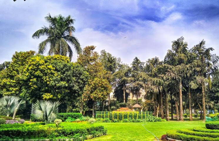 Bindra park